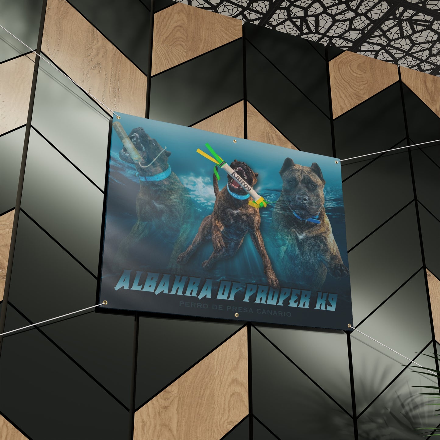 ALBAHRA BANNER