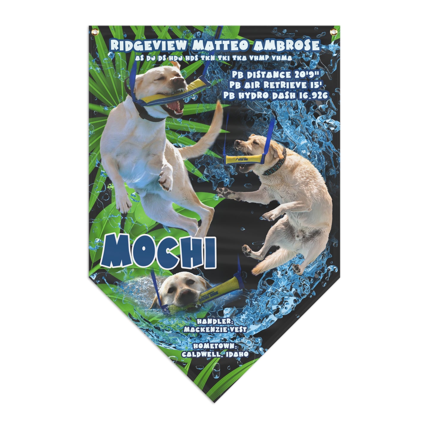 MOCHI Pennant Banner - PERSONALIZE!