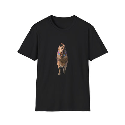 ENZO! Unisex Softstyle T-Shirt
