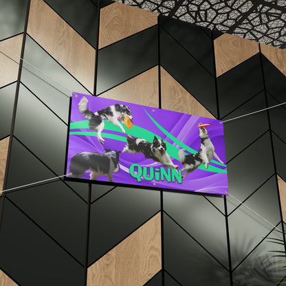 QUINN Matte Banner