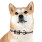 HOLIDAY GARLAND Dog Collar