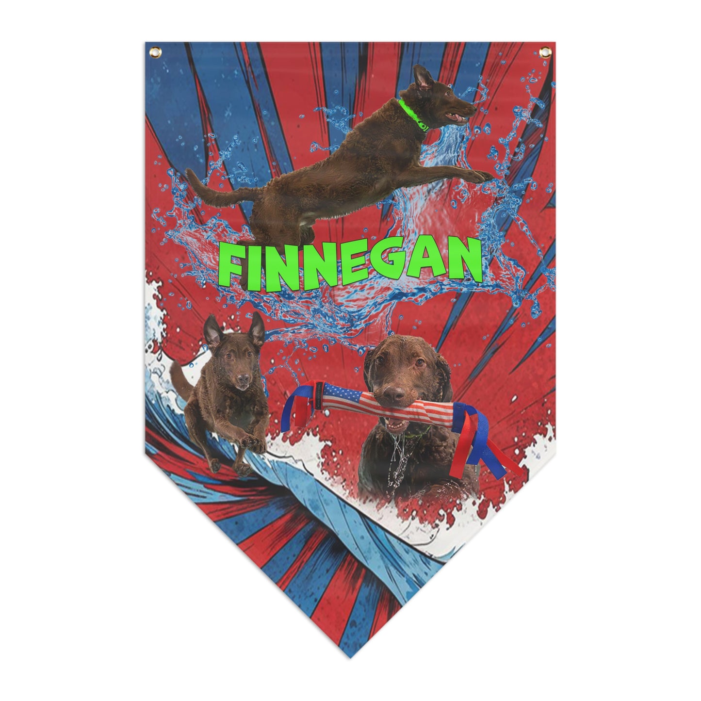 Finnegan  Pennant Banner