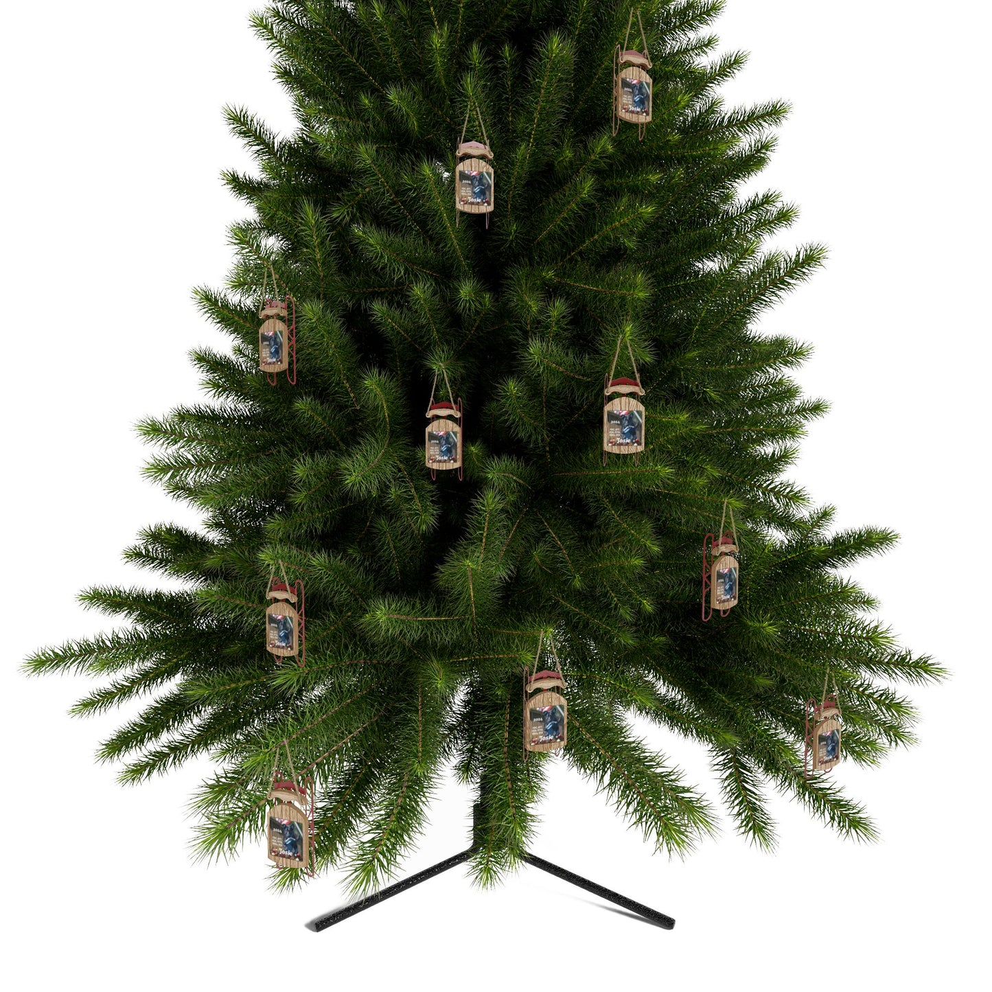 Josie Sled Ornaments