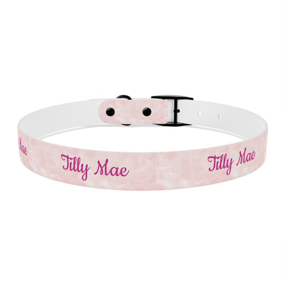 Tilly Mae - Custom Dog Collar