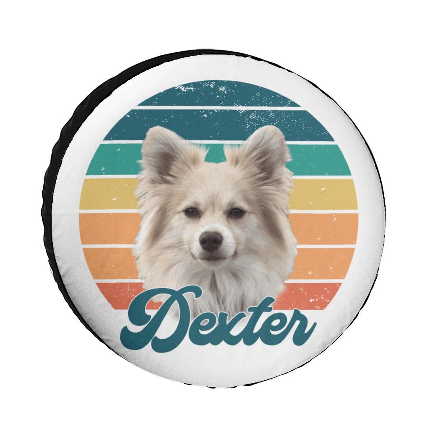Oxford Cloth Tire Cover