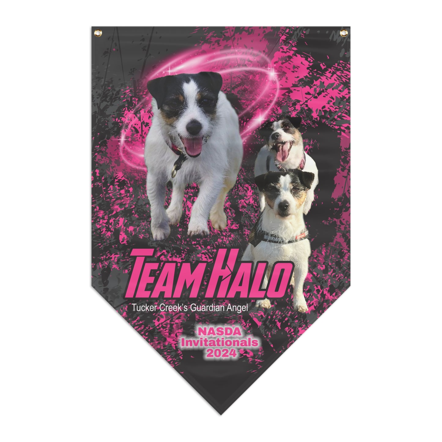 HALO Pennant Banner