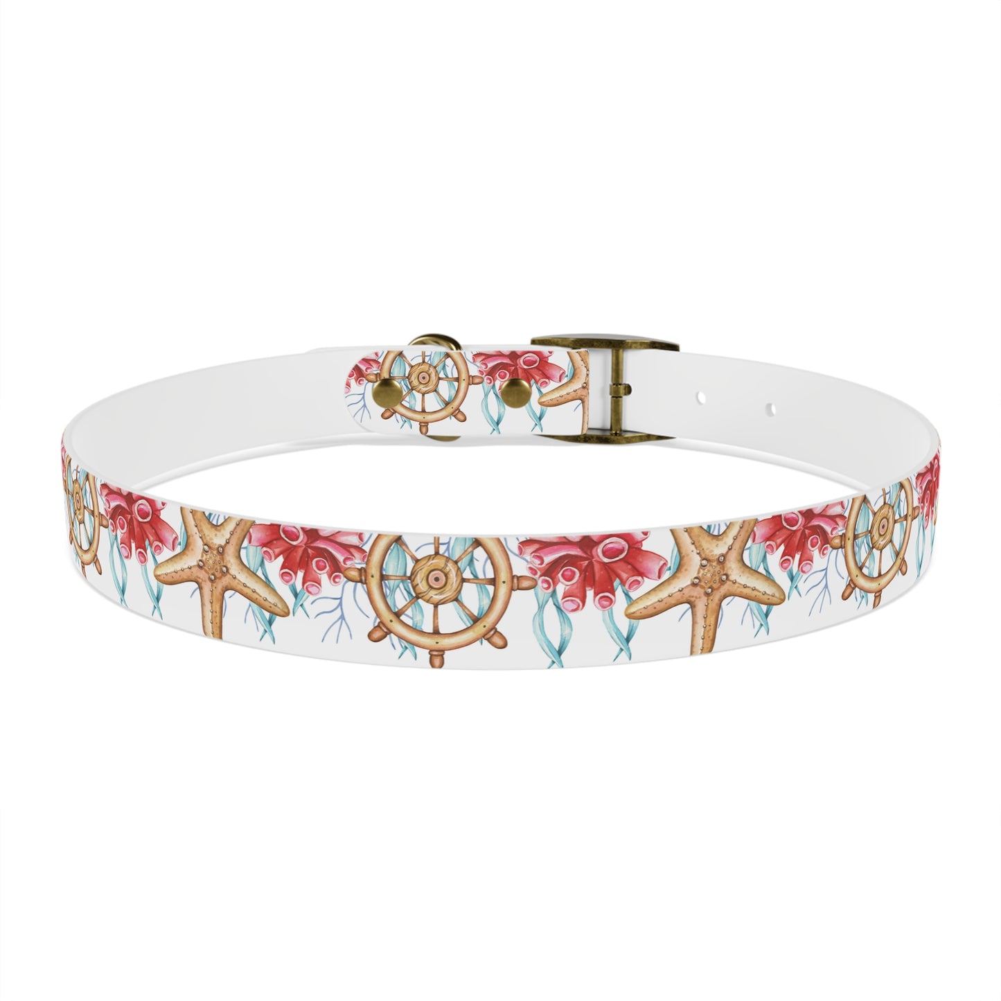 Starfish n Wheel Dog Collar