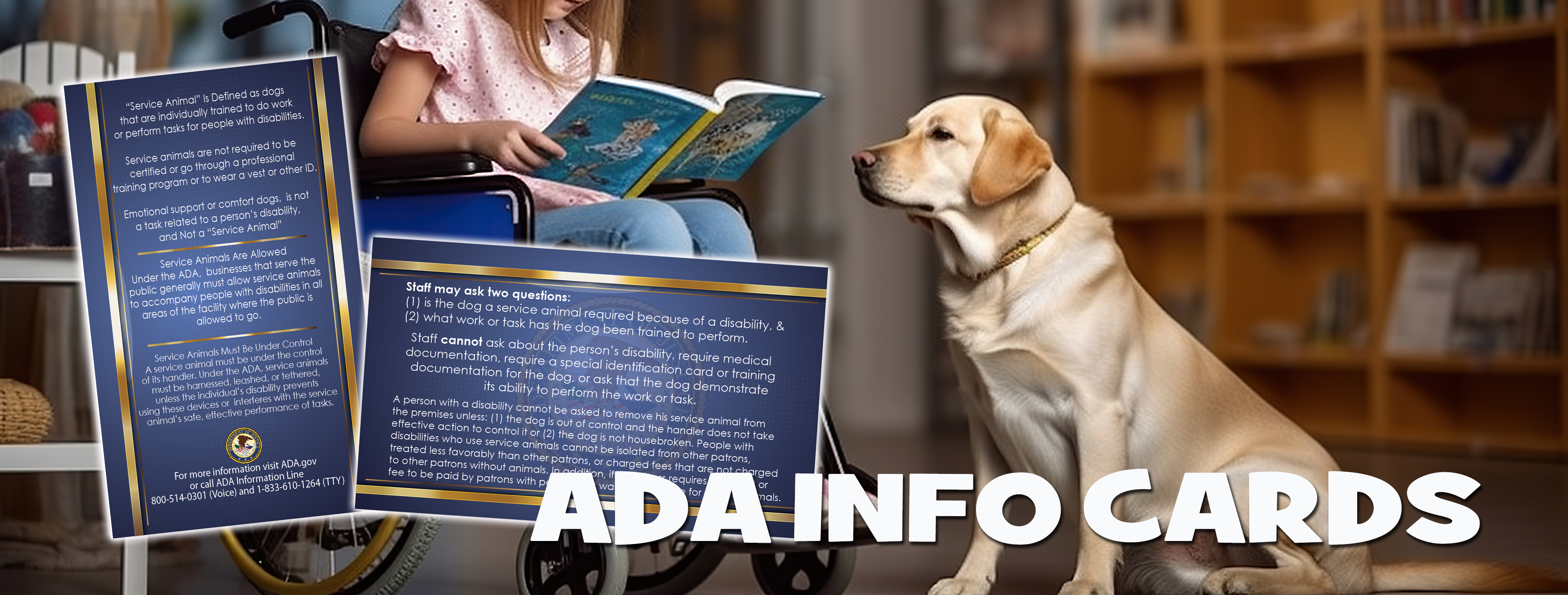 ADA INFO CARDS – DZK9 Designs