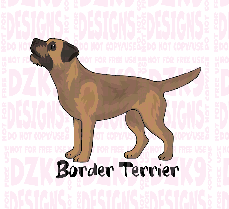 BORDER TERRIER CLASSIC