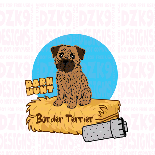 BORDER TERRIER BARN HUNT