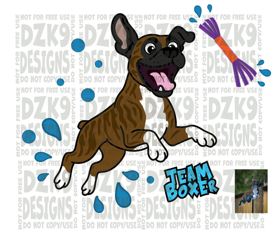 DOCK DIVING  -  Boxer CARTOON
