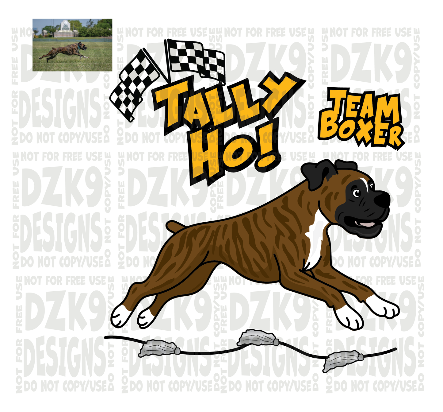 TALLY HO! -  Boxer CARTOON