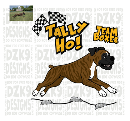 TALLY HO! -  Boxer CARTOON