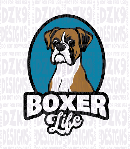 Boxer LIFE