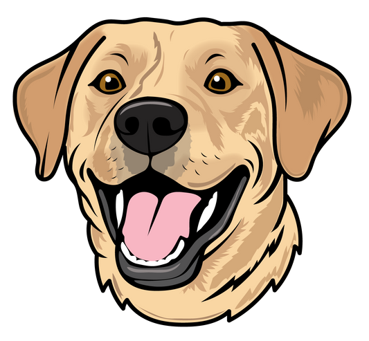 Beckie Fun Labrador