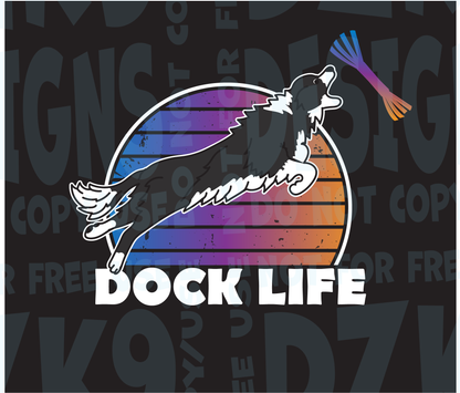 BORDER COLLIE DOCK DIVING