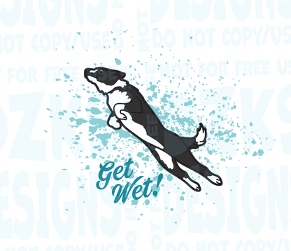 BORDER COLLIE DOCK DIVING