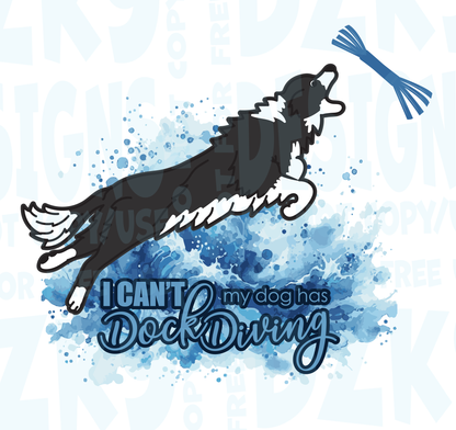 BORDER COLLIE DOCK DIVING