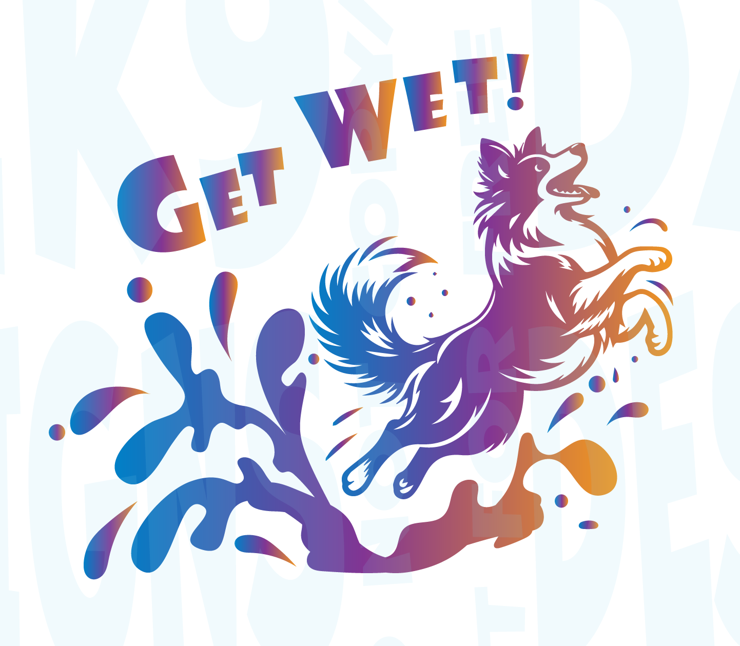 BORDER COLLIE DOCK DIVING