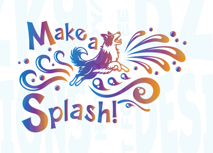 BORDER COLLIE DOCK DIVING