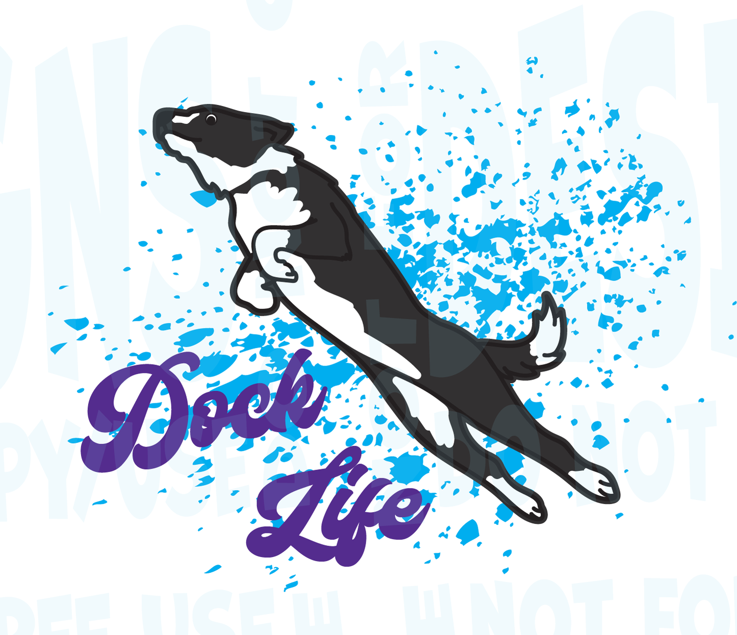 BORDER COLLIE DOCK DIVING