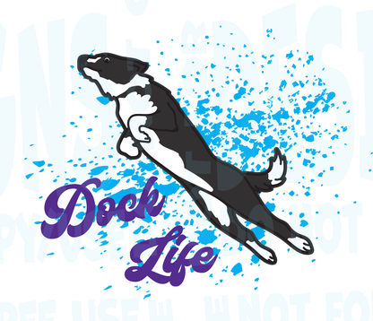 BORDER COLLIE DOCK DIVING