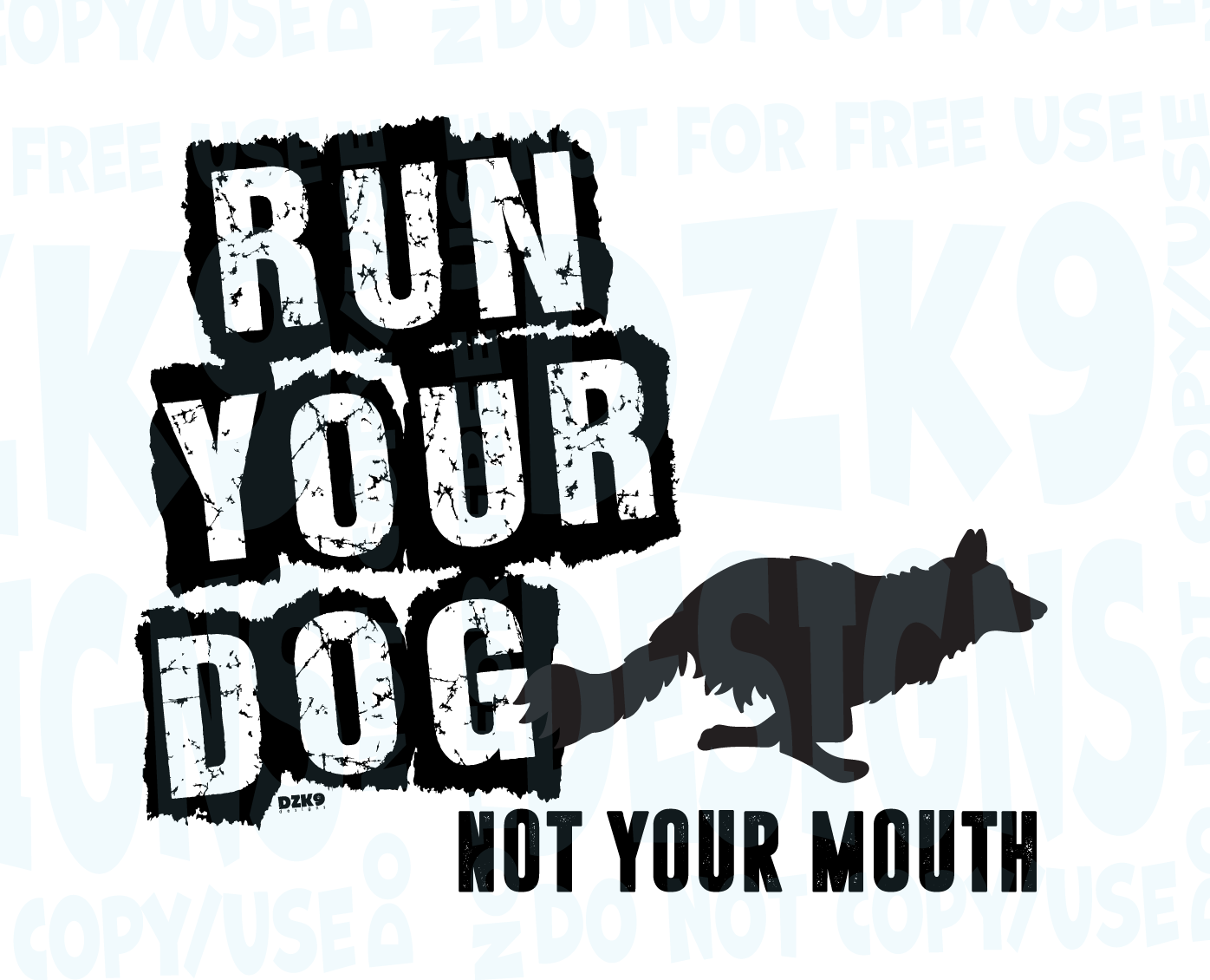 BORDER COLLIE  FAST CAT