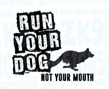 BORDER COLLIE  FAST CAT