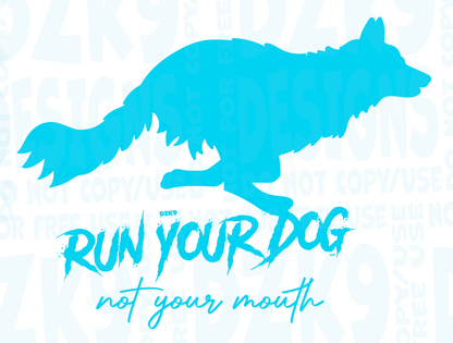 BORDER COLLIE  FAST CAT