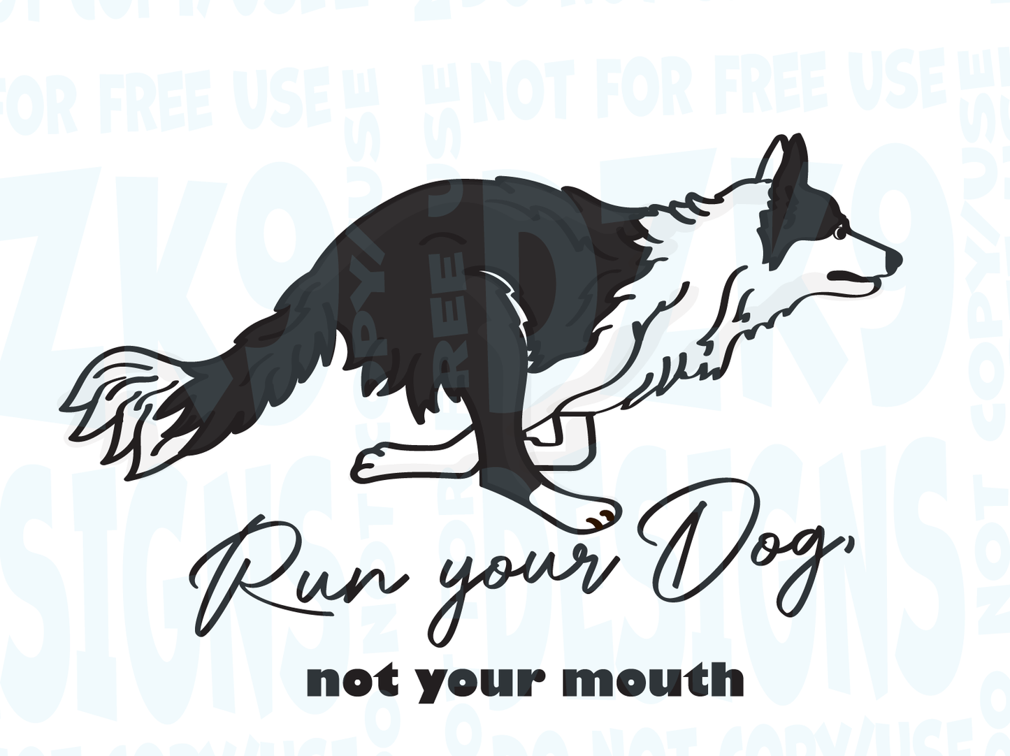 BORDER COLLIE  FAST CAT