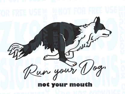 BORDER COLLIE  FAST CAT