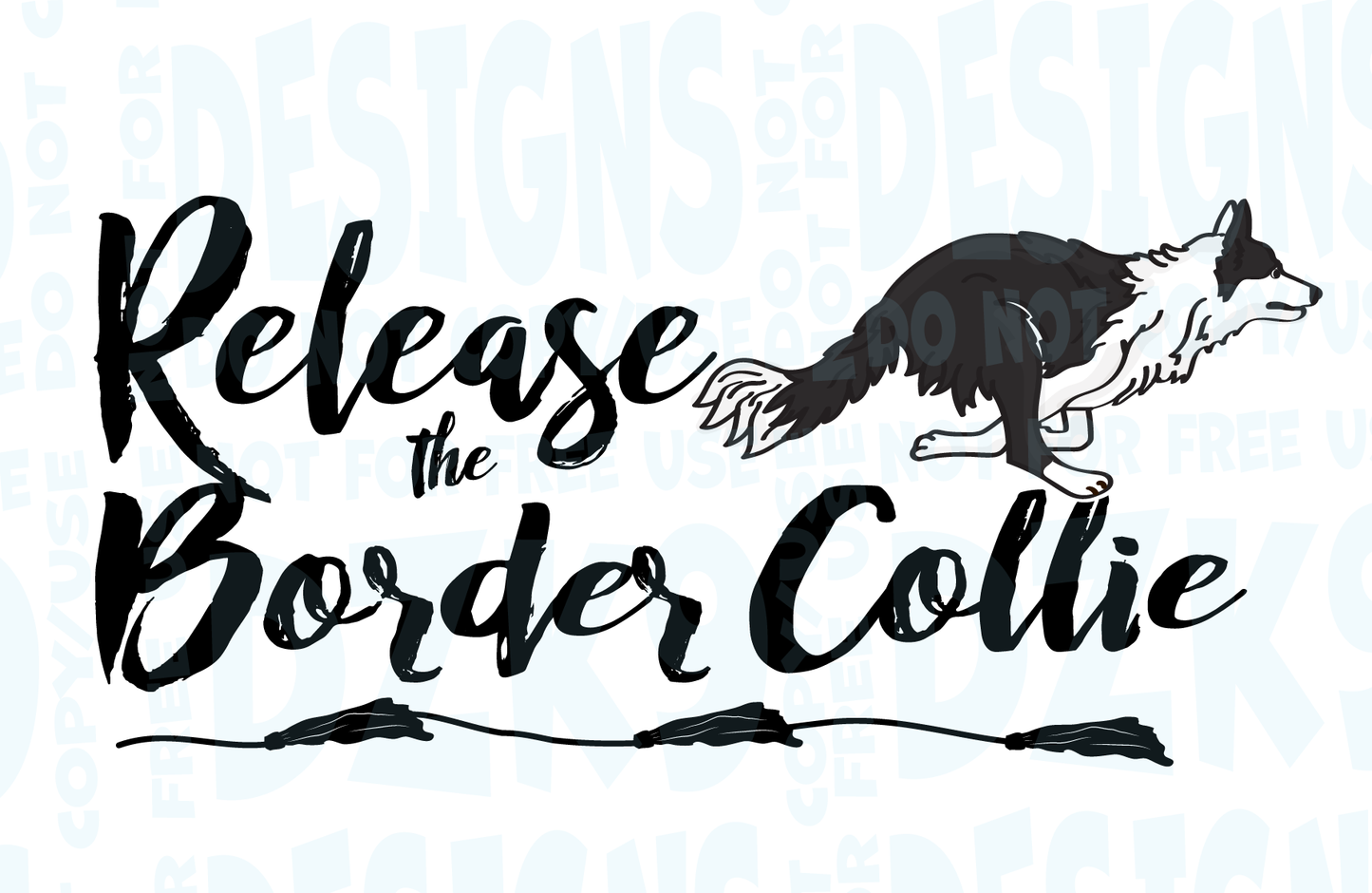 BORDER COLLIE  FAST CAT