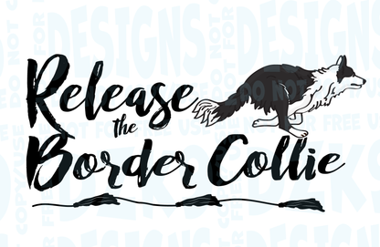 BORDER COLLIE  FAST CAT