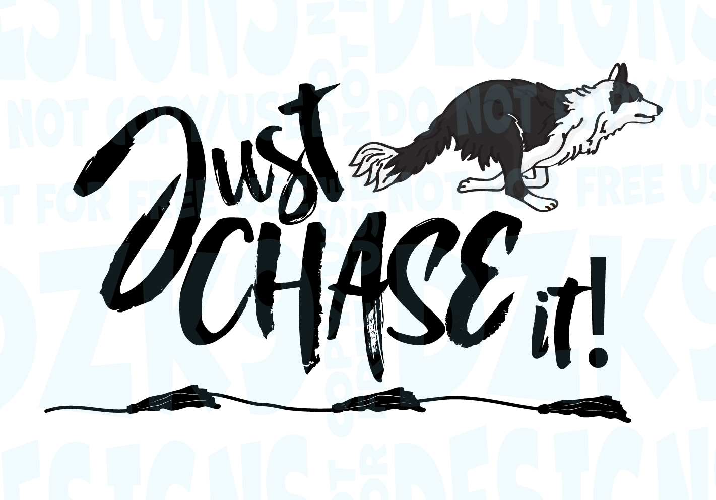 BORDER COLLIE  FAST CAT