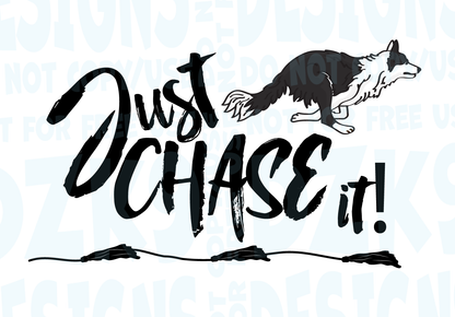 BORDER COLLIE  FAST CAT