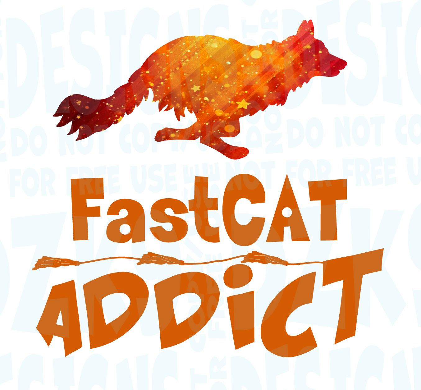 BORDER COLLIE  FAST CAT