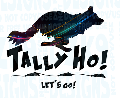 BORDER COLLIE  FAST CAT