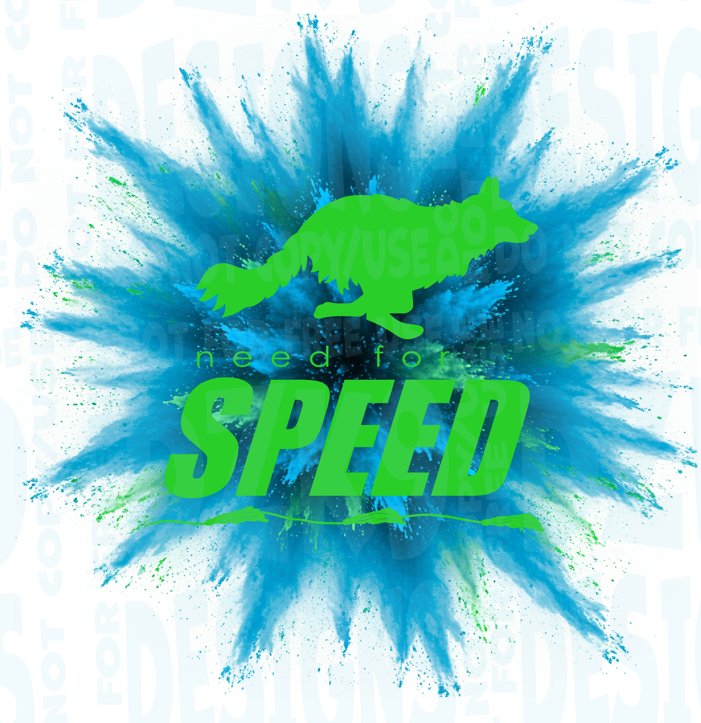 BORDER COLLIE  FAST CAT