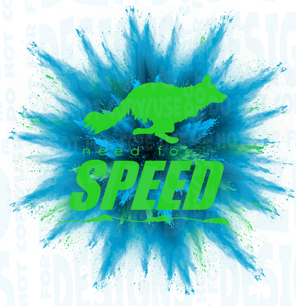 BORDER COLLIE  FAST CAT