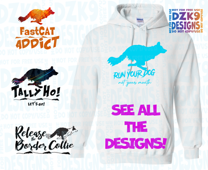 BORDER COLLIE  FAST CAT