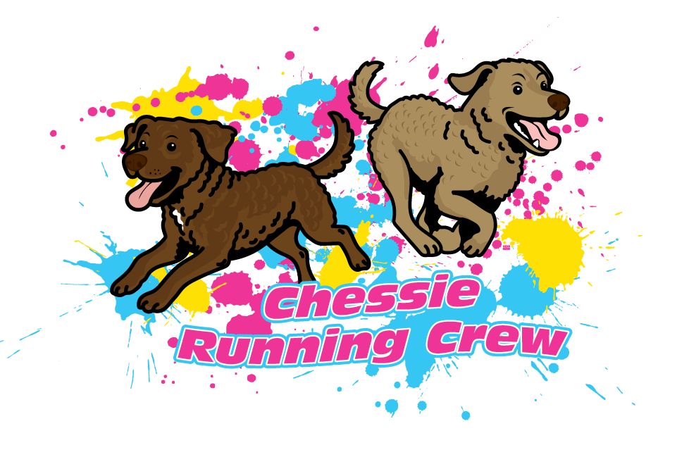 CHESSIE RUNNING CREW