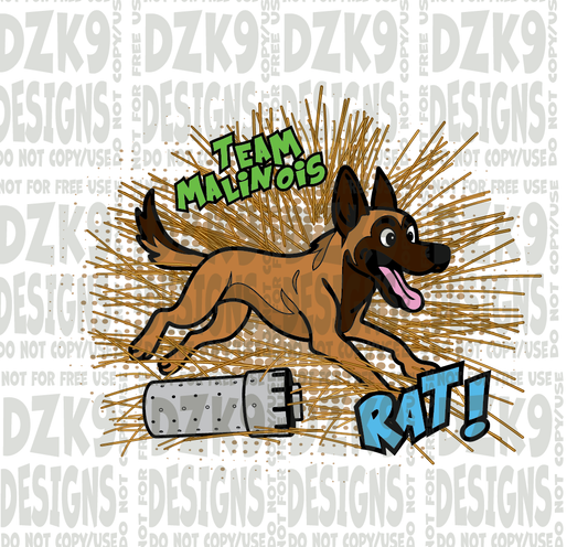 BARN HUNT - RAT! Malinois