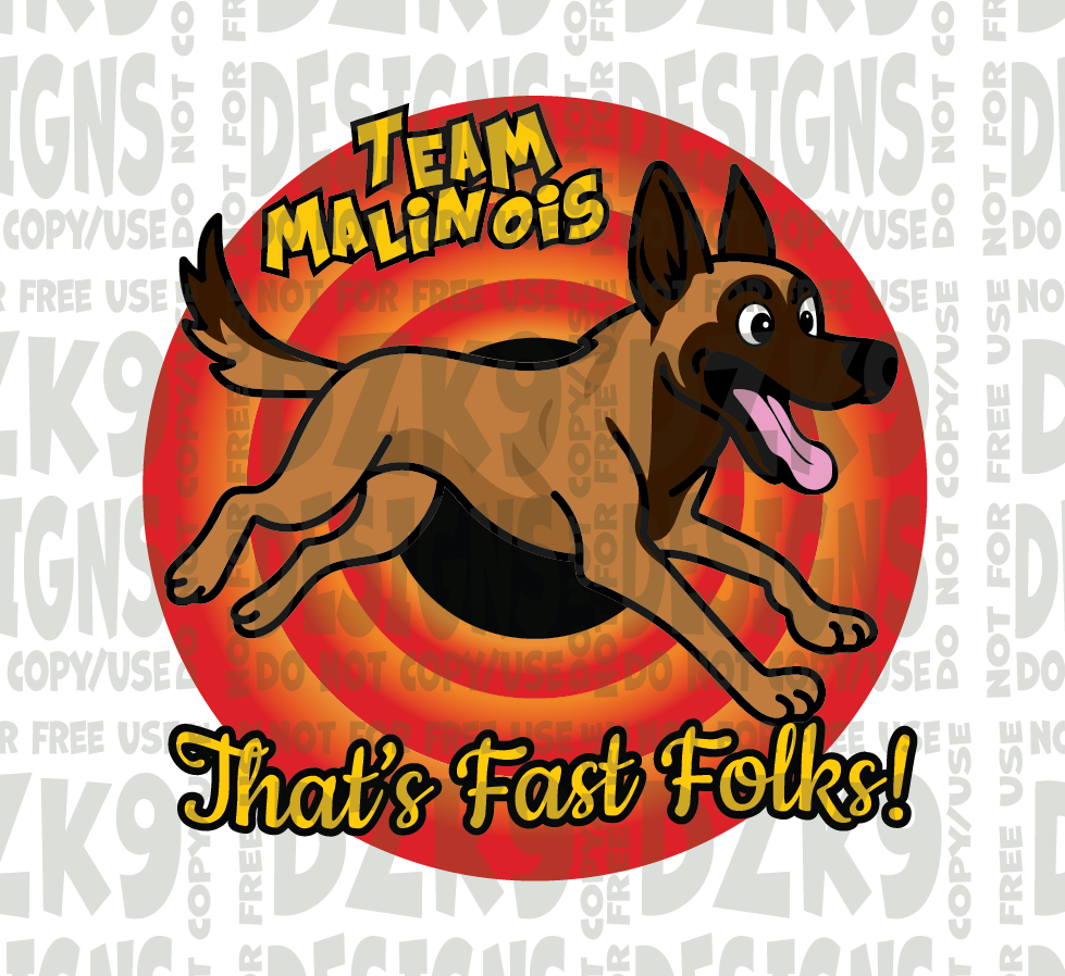THATS FAST FOLKS -  Malinois
