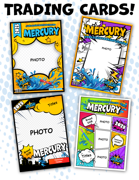 COMIC DOCK DIVING TRADING CARDS SPECIAL!