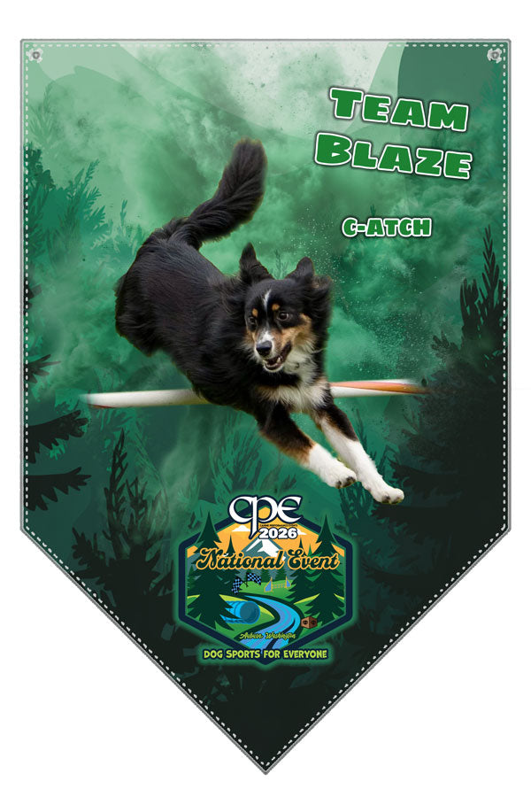 CPE NATIONALS PENNANT BANNER - CUSTOM