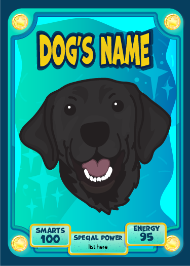 TRADING CARDS - CARTOON/GAME STYLE