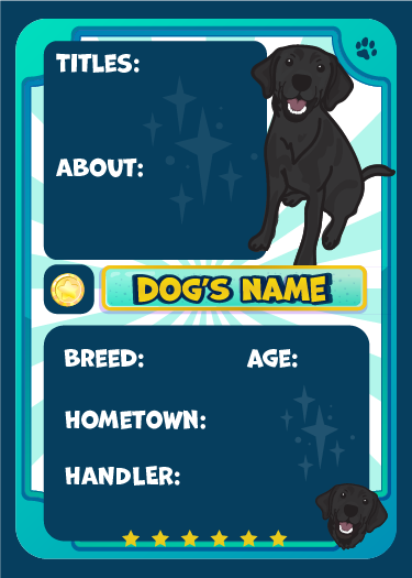 TRADING CARDS - CARTOON/GAME STYLE