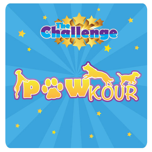DZK9 PAWKOUR