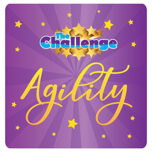 DZK9 CHALLENGE - AGILITY