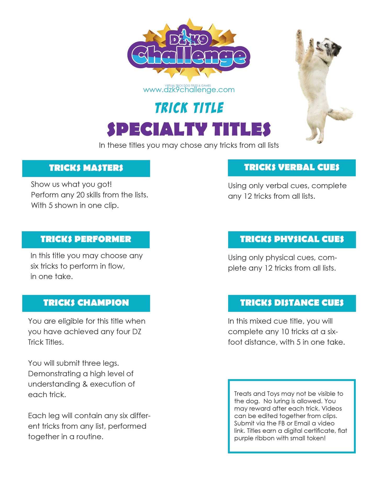 DZK9 CHALLENGE - TRICKS TITLES